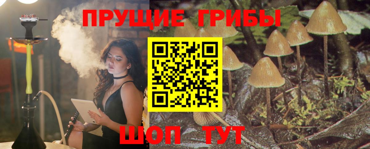 Галлюциногенные грибы GOLDEN TEACHER Курчатов